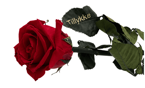Personlig rose med personlig hilsen