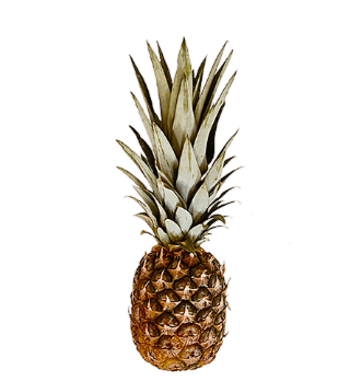 Ananas