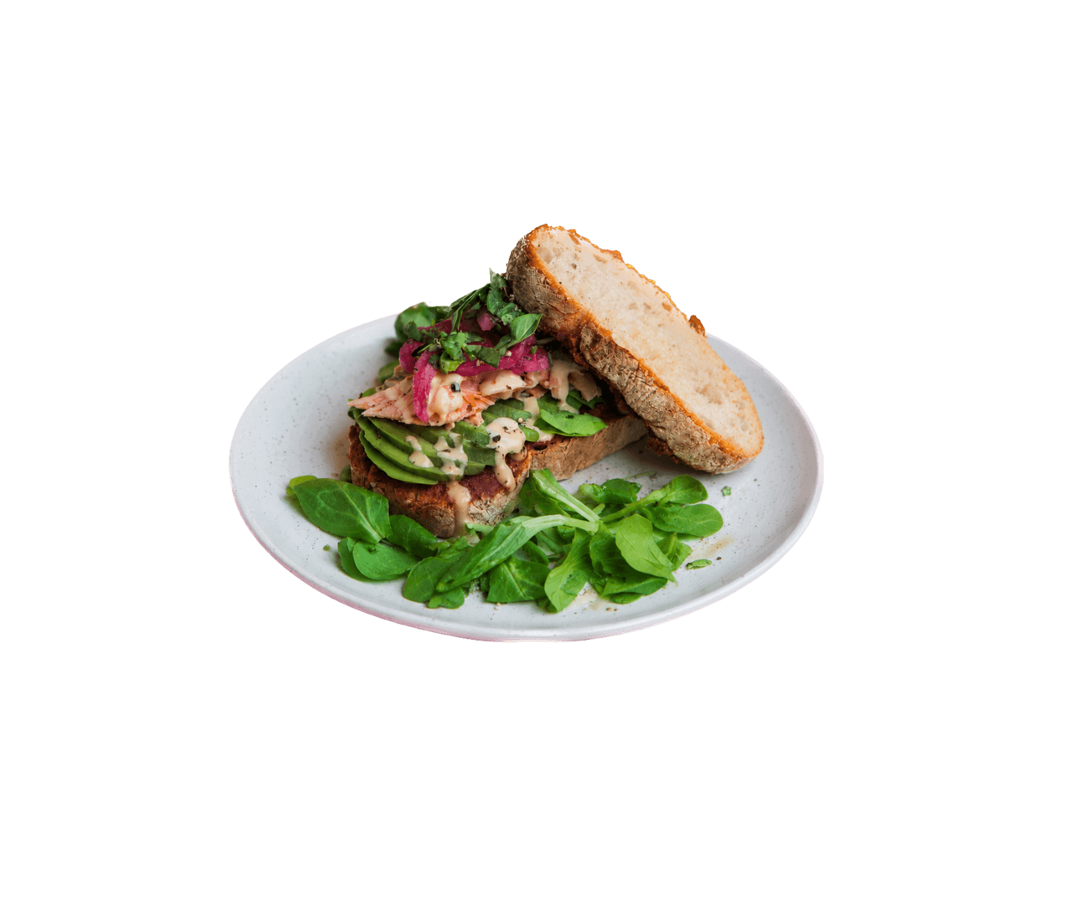 Plantebaseret "tunsalat"