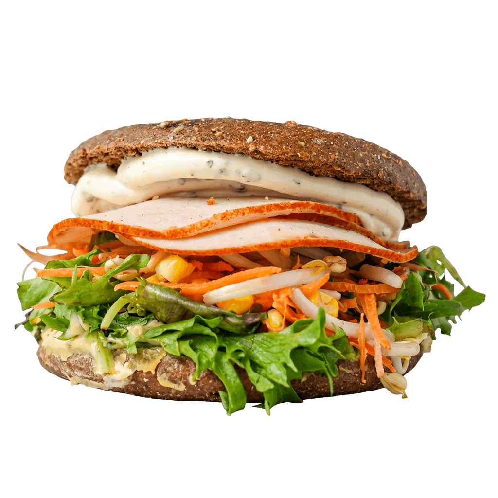 The Turkey Bagel