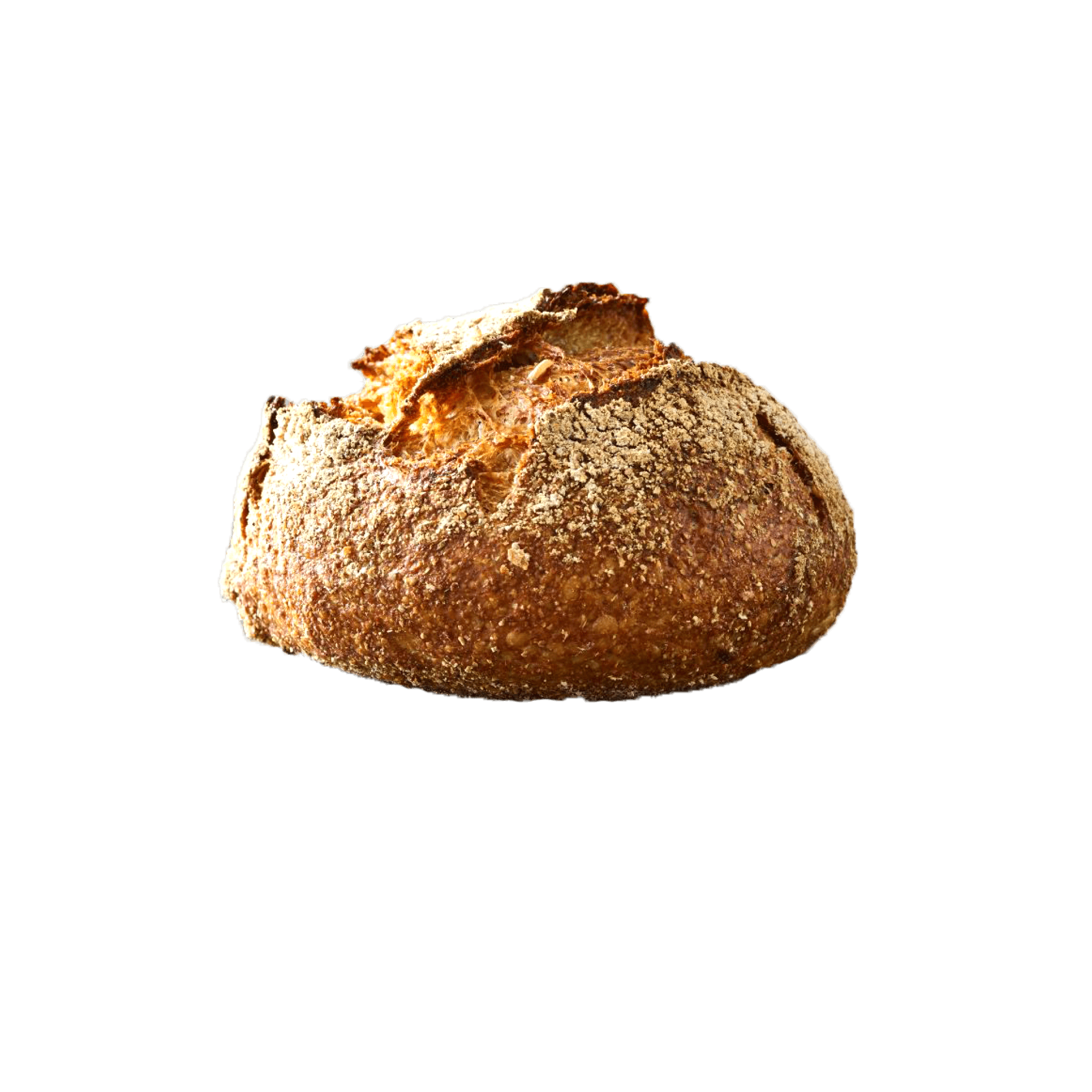 Øko Nørrebrobolle