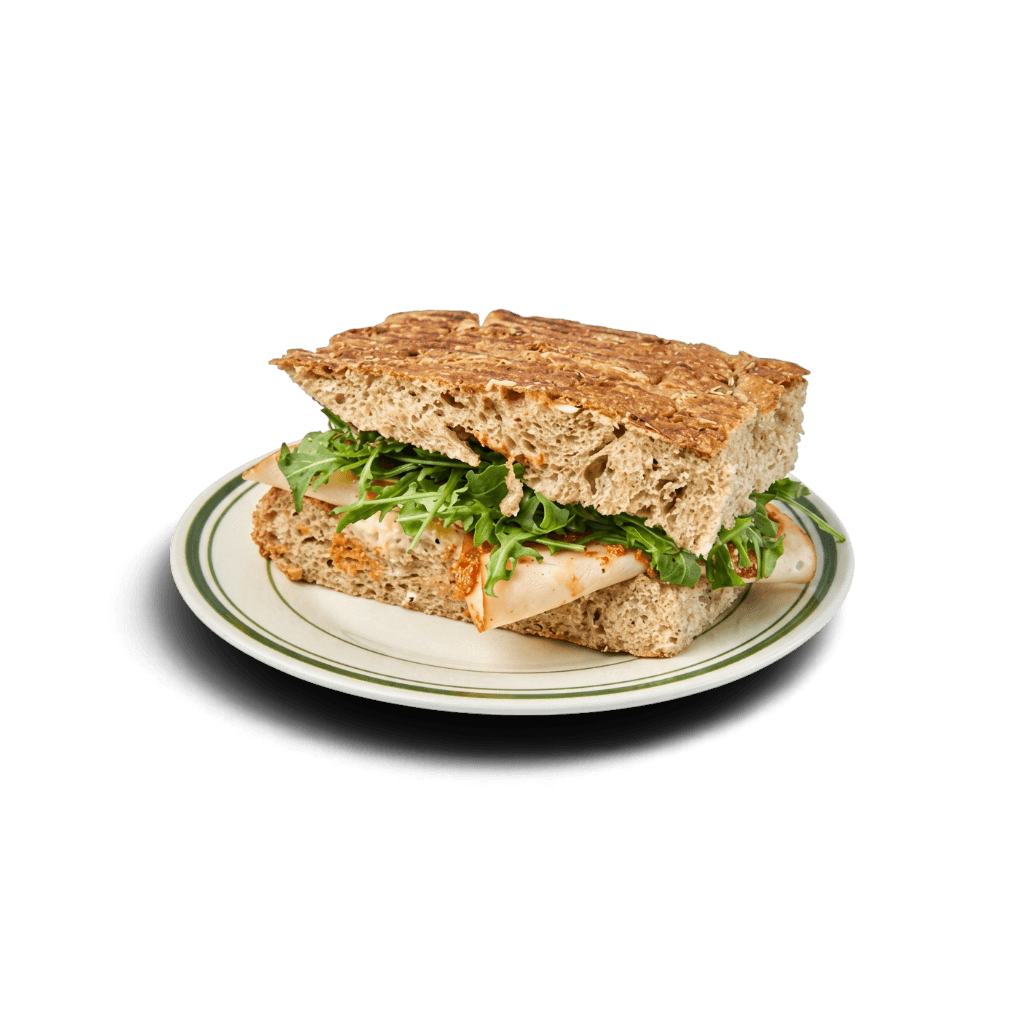 Turkey Panini