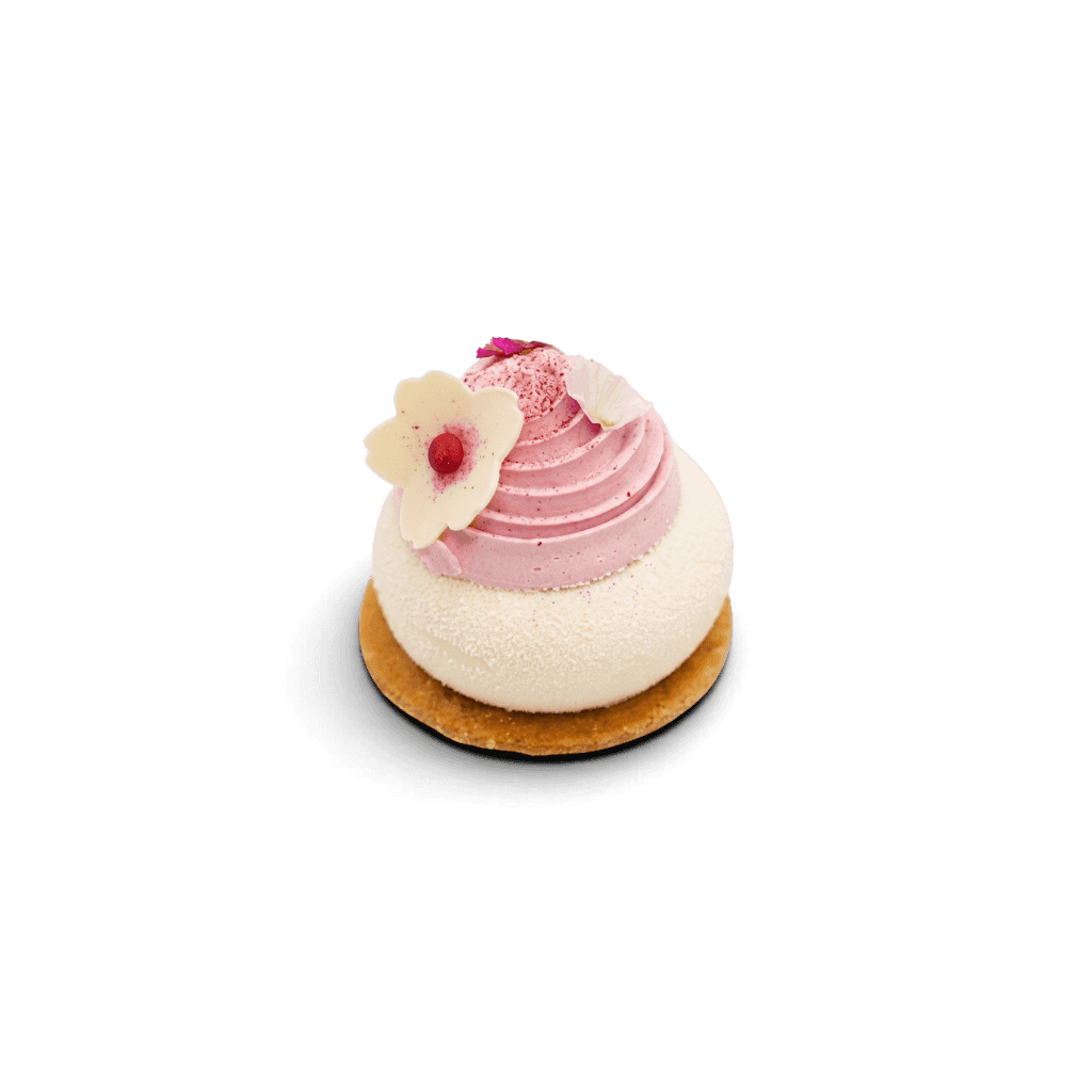 Sakura Blossom - Single